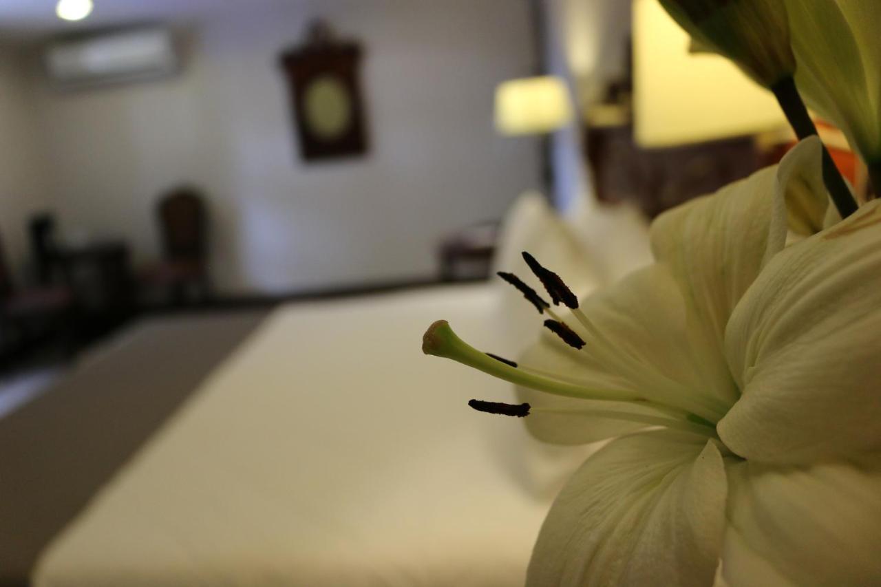 Hotel Villa טקילה מראה חיצוני תמונה
